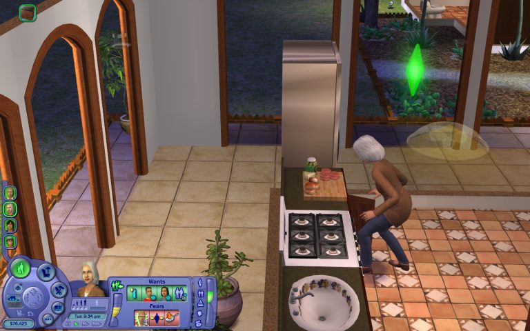 The Sims 2 — скриншот